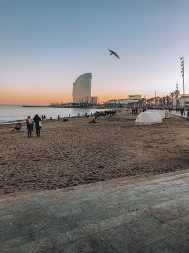 La Barceloneta