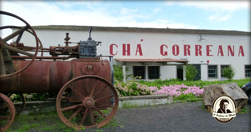 Lugar Fabrica de Chá da Gorreana