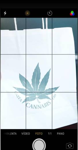 Casta Cannabis CBD