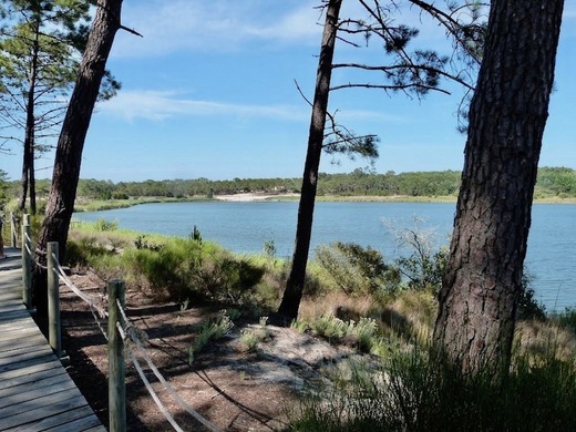 Lagoa da Ervedeira