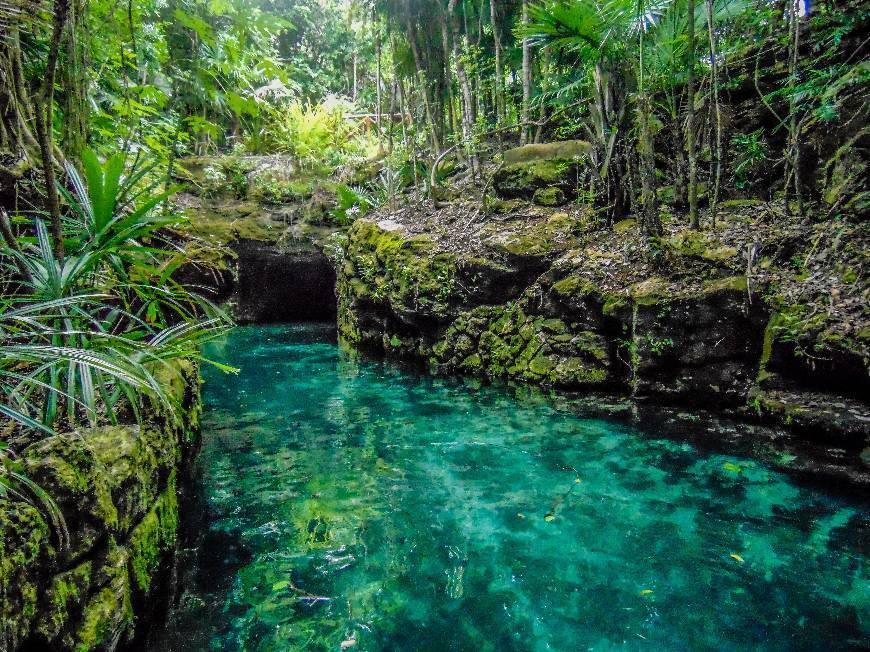 Place XCARET