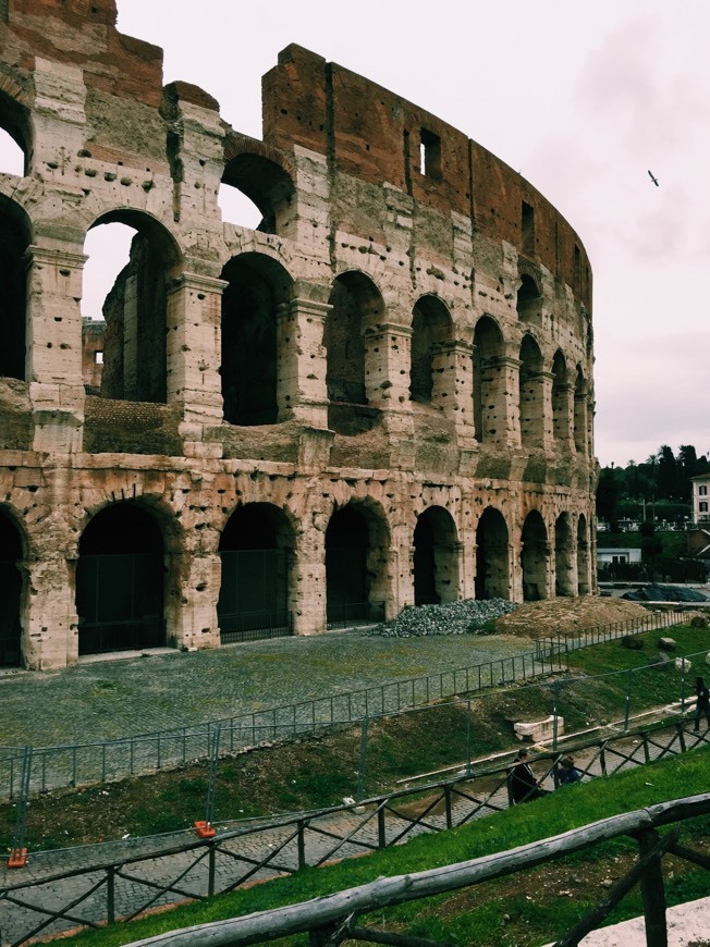 Lugar Coliseo de Roma