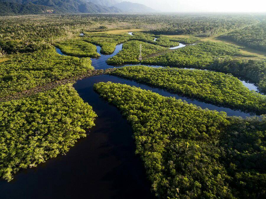 Lugar Amazonia