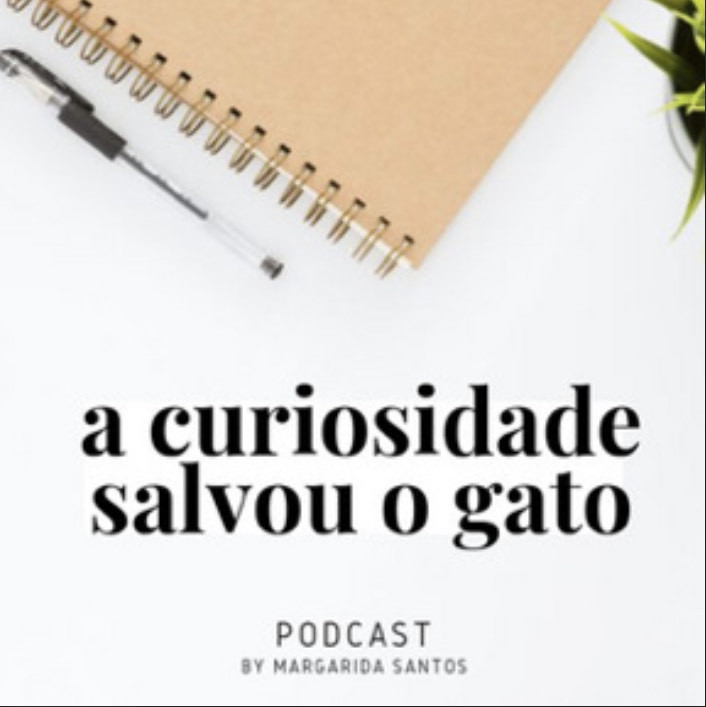 Producto a curiosidade salvou o gato