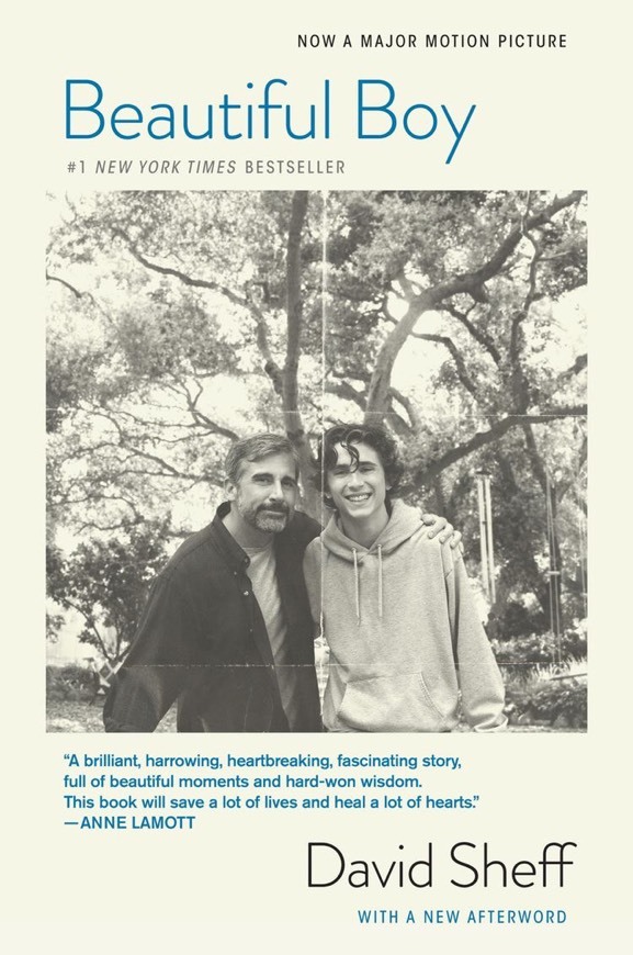Movie Beautiful Boy: siempre serás mi hijo