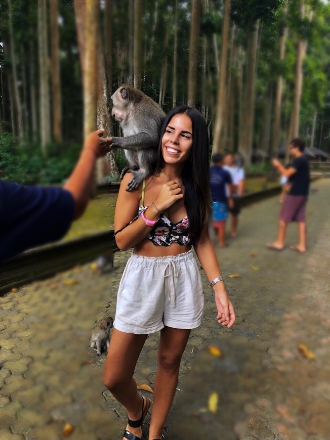 Monkey Forest - UBUD