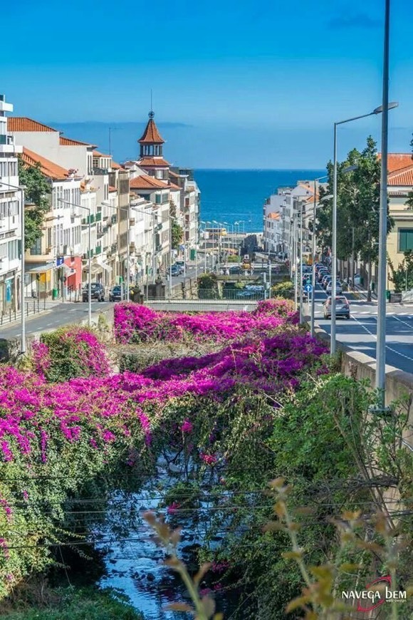 Place Funchal