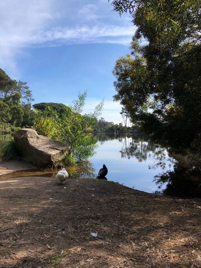 Place Lagoa Azul - Sintra 