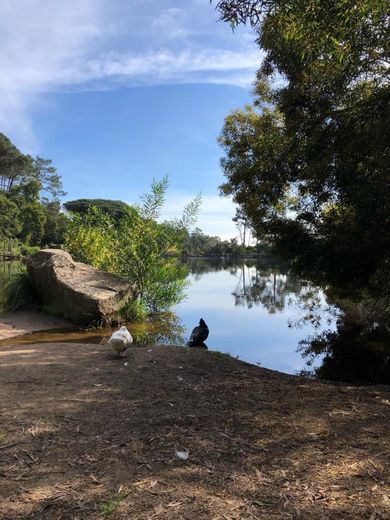 Lagoa Azul - Sintra 