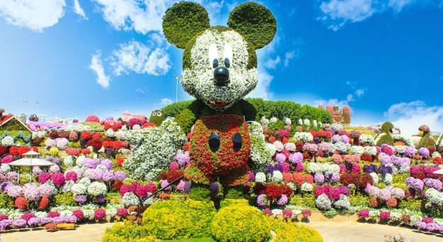 Place Miracle Garden