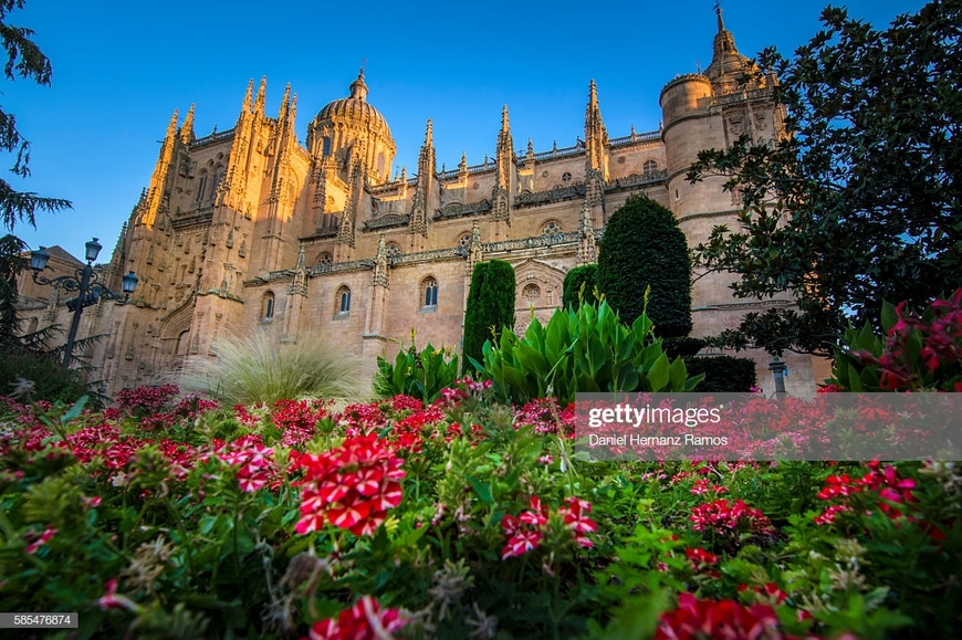 Lugar Catedral de Salamanca