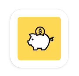 App Money Manager