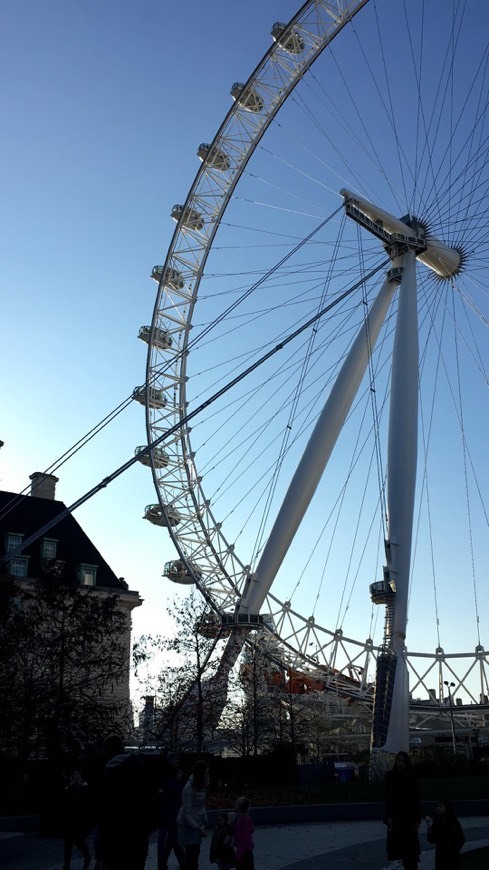 Place London Eye