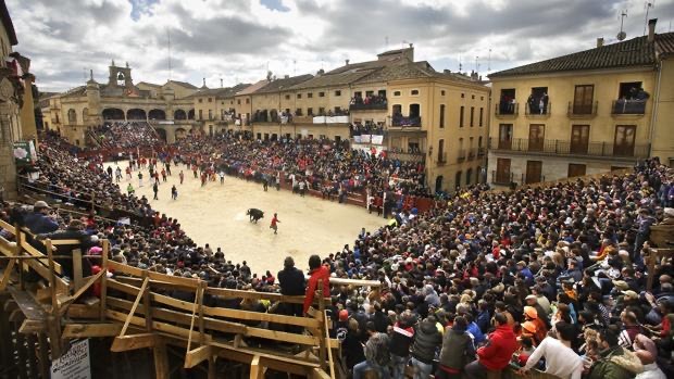 Social Ciudad Rodrigo -Carnaval del toro