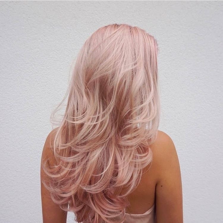🌸