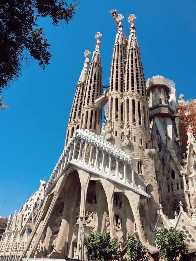 Place Basílica Sagrada Familia