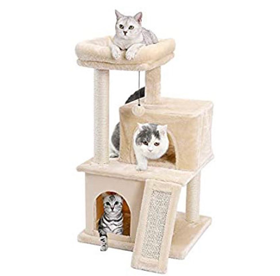 Casa de luxo para gatos