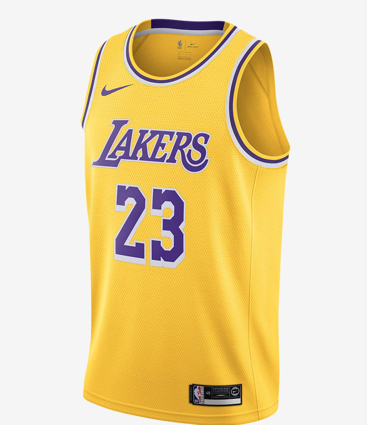 LeBron James Lakers Icon Edition