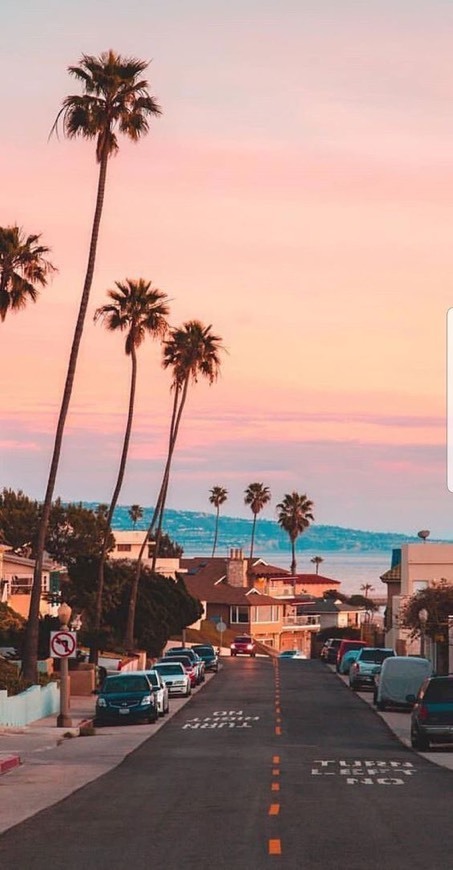 Social Wallpaper 