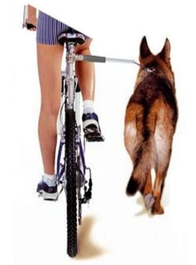 Adaptador para passear com o cão na bicicleta Walkydog ...