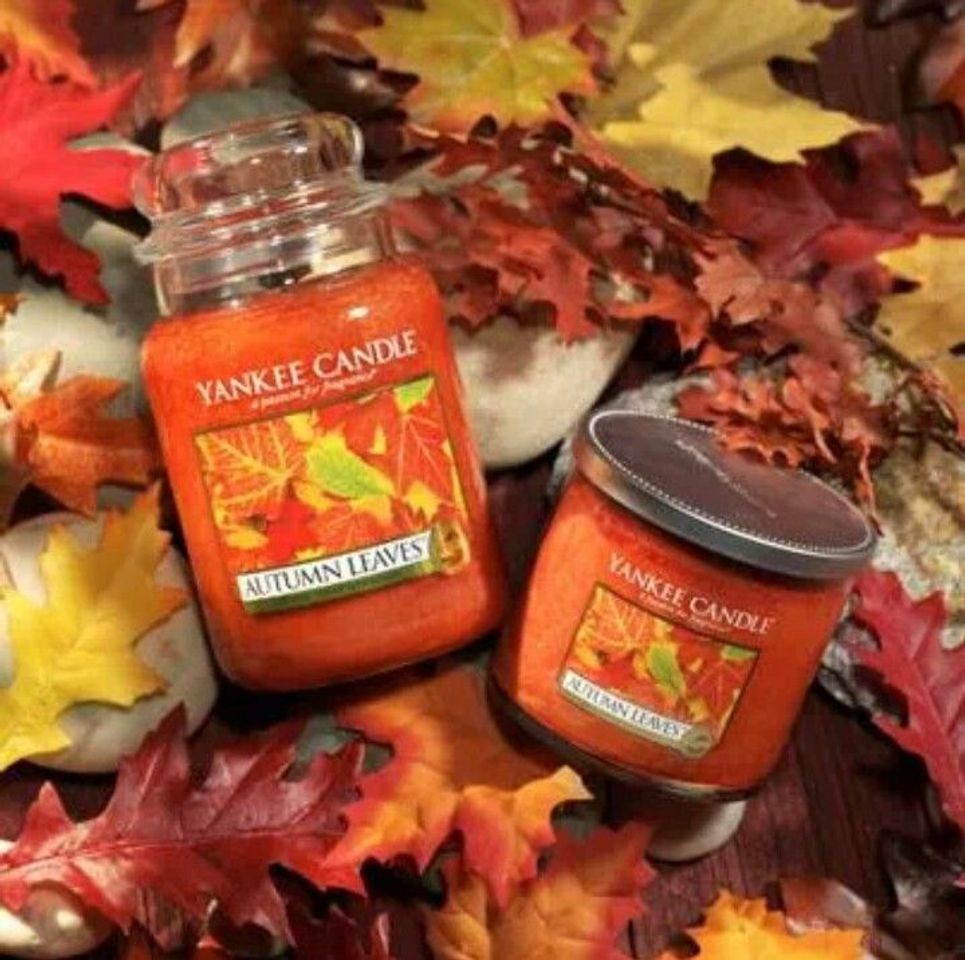 Moda Autumn Leaves Yankee Candle