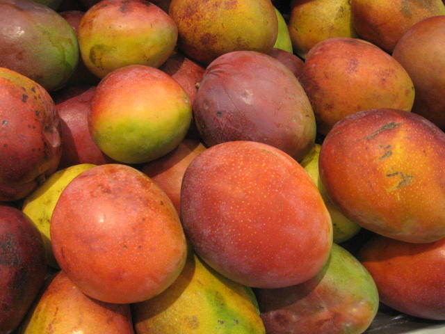 Social Manga fruta