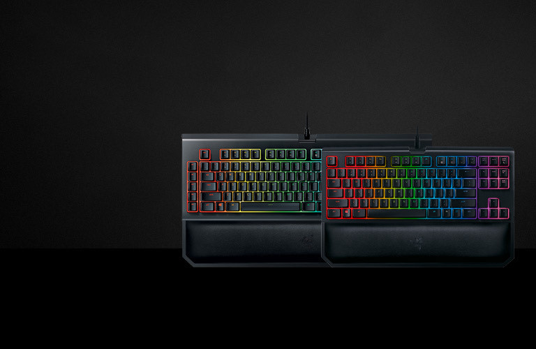 Products Razer blackwidow tournament edition chroma V2