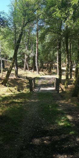 Parque Biológico da Serra das Meadas - Lamego