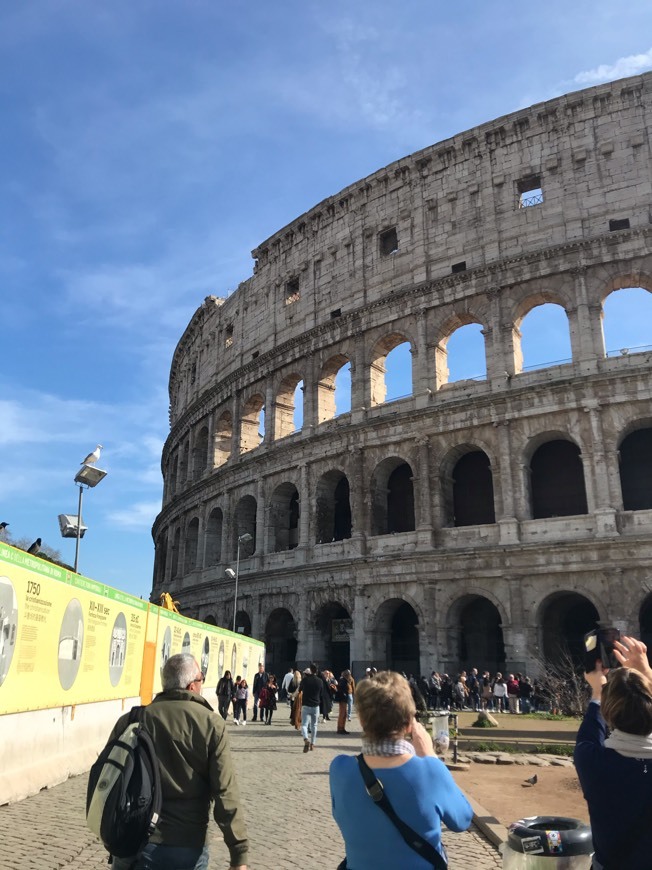 Place Coliseo de Roma