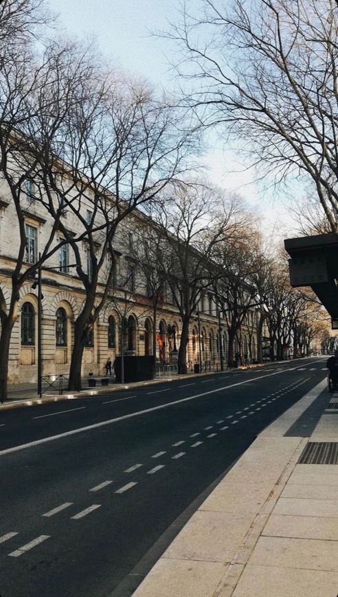 Place Nîmes