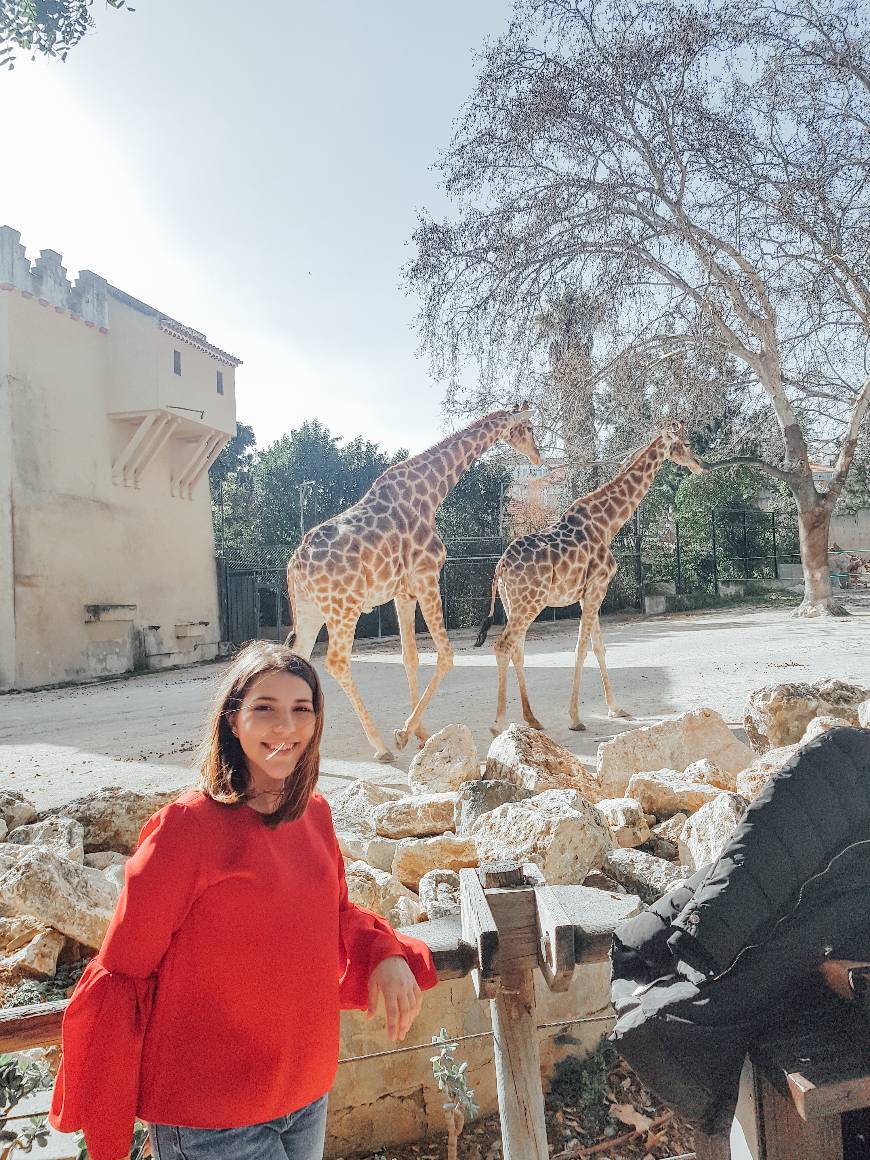 Lugar Jardim Zoológico de Lisboa