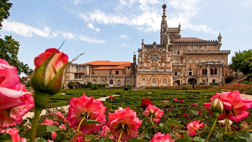 Lugar Mata Nacional do Buçaco