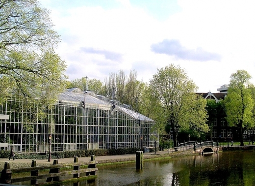 Hortus Botanicus Amsterdam