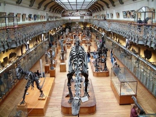 Museo nazionale di storia naturale di Francia