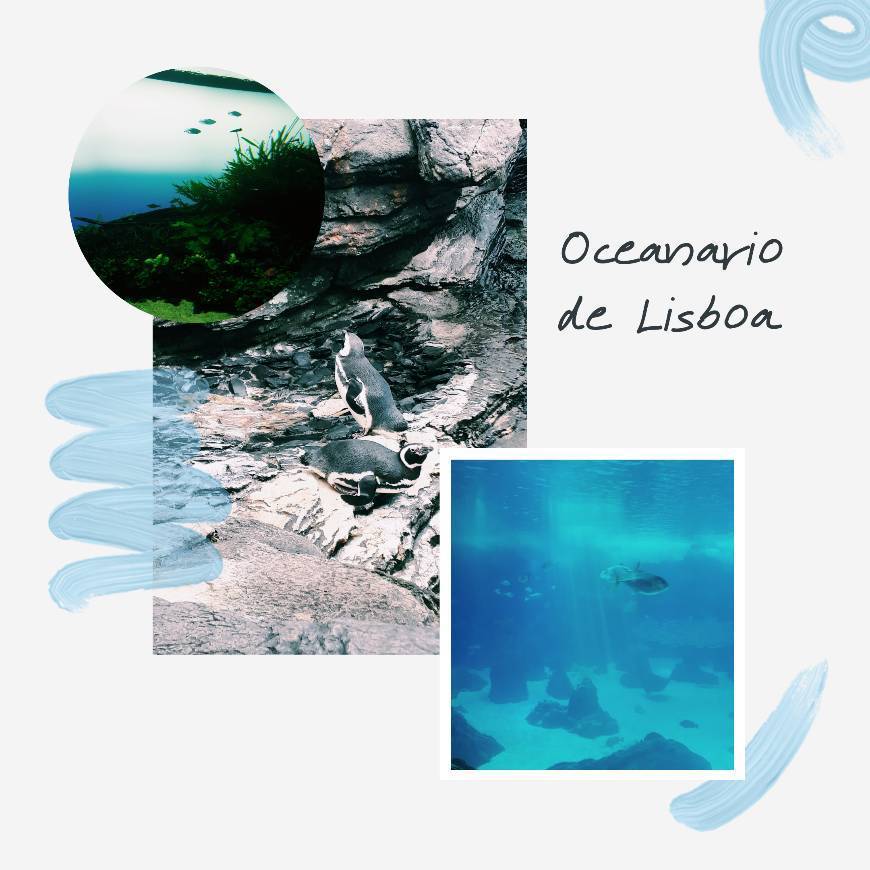 Place Oceanário de Lisboa