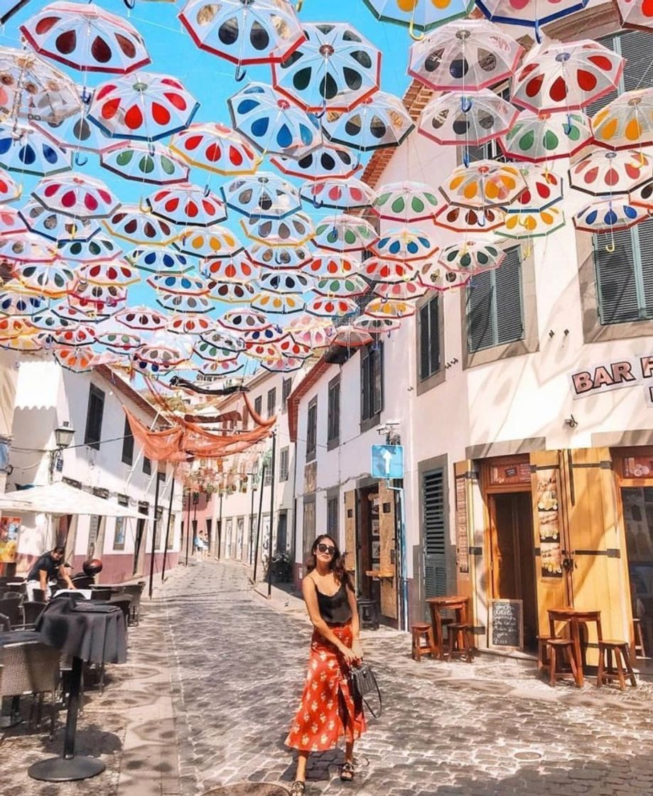 Social Câmara de Lobos 🐺 