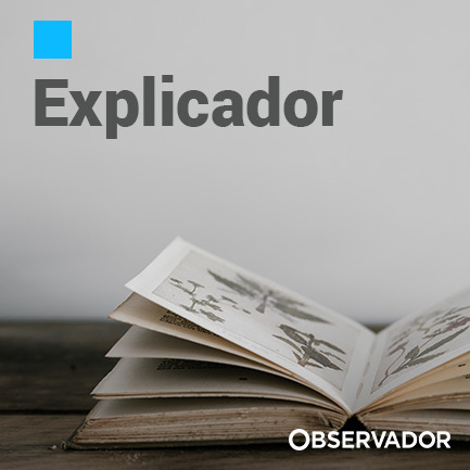 Moda Explicador - Observador