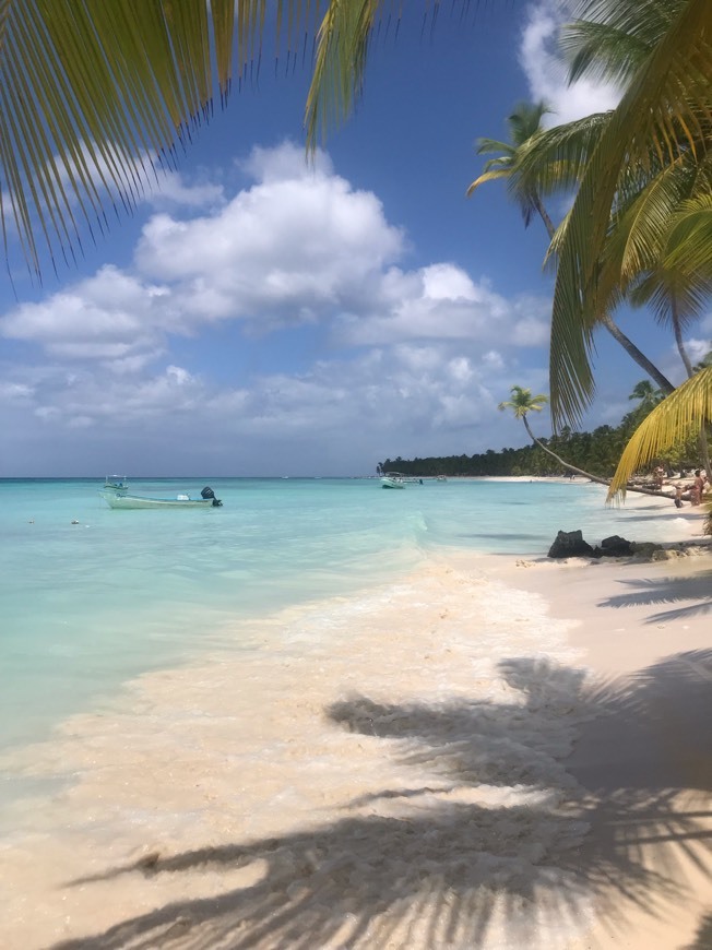 Isla Saona