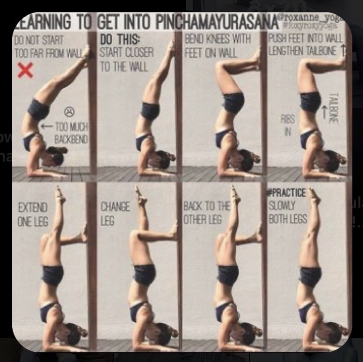 Moda YOGA POSITION