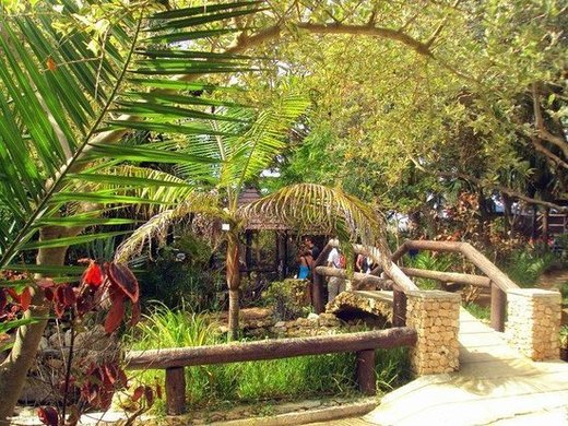 Quinta das Palmeiras - Mini-Zoo Botânico