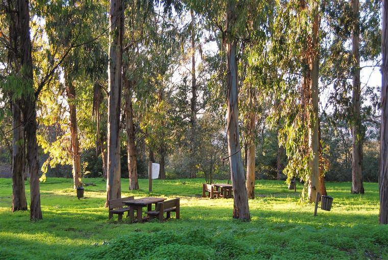 Lugares Parque Florestal de Monsanto