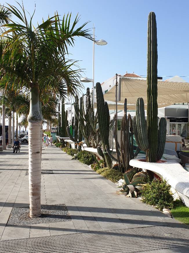 Place Playa de las Vistas