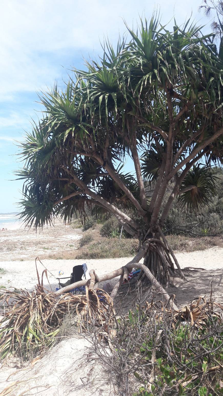 Place Cabarita Beach