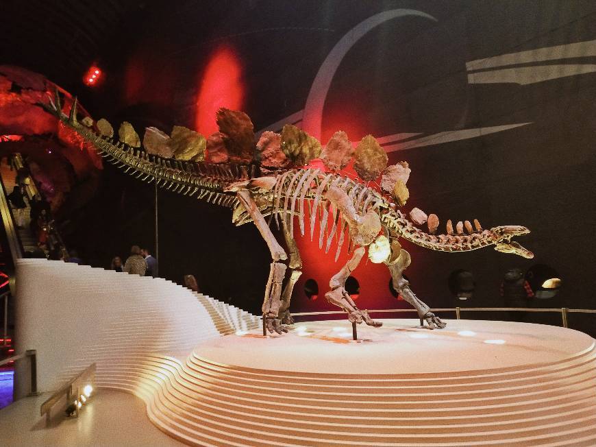 Place Natural History Museum