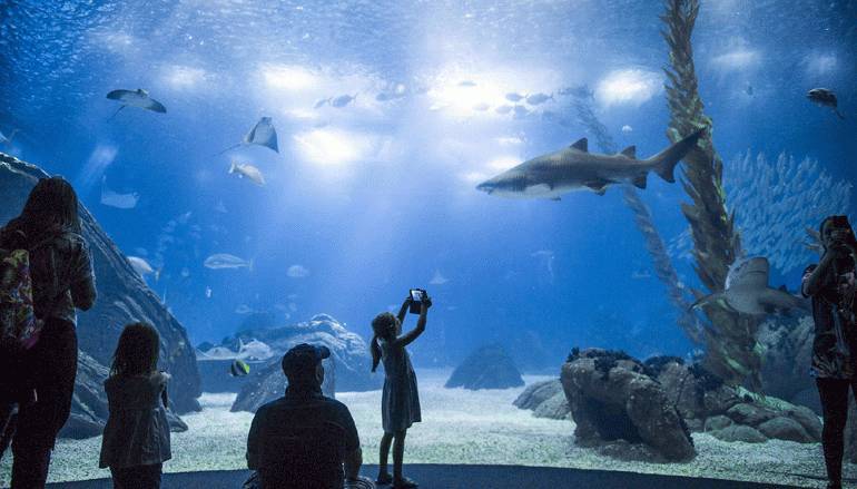 Place Oceanario de Lisboa