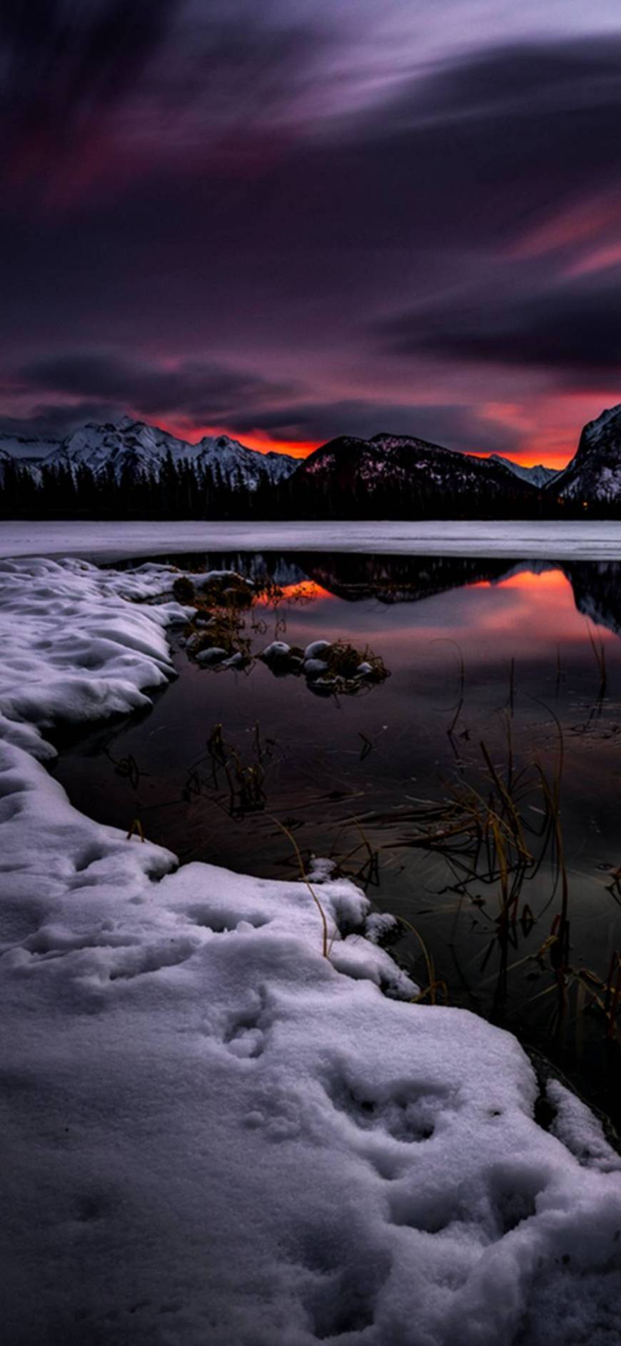 Winter LandScape