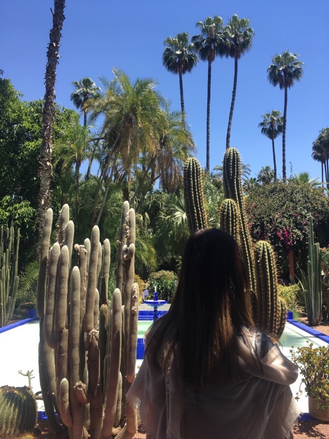 Place Jardín Majorelle