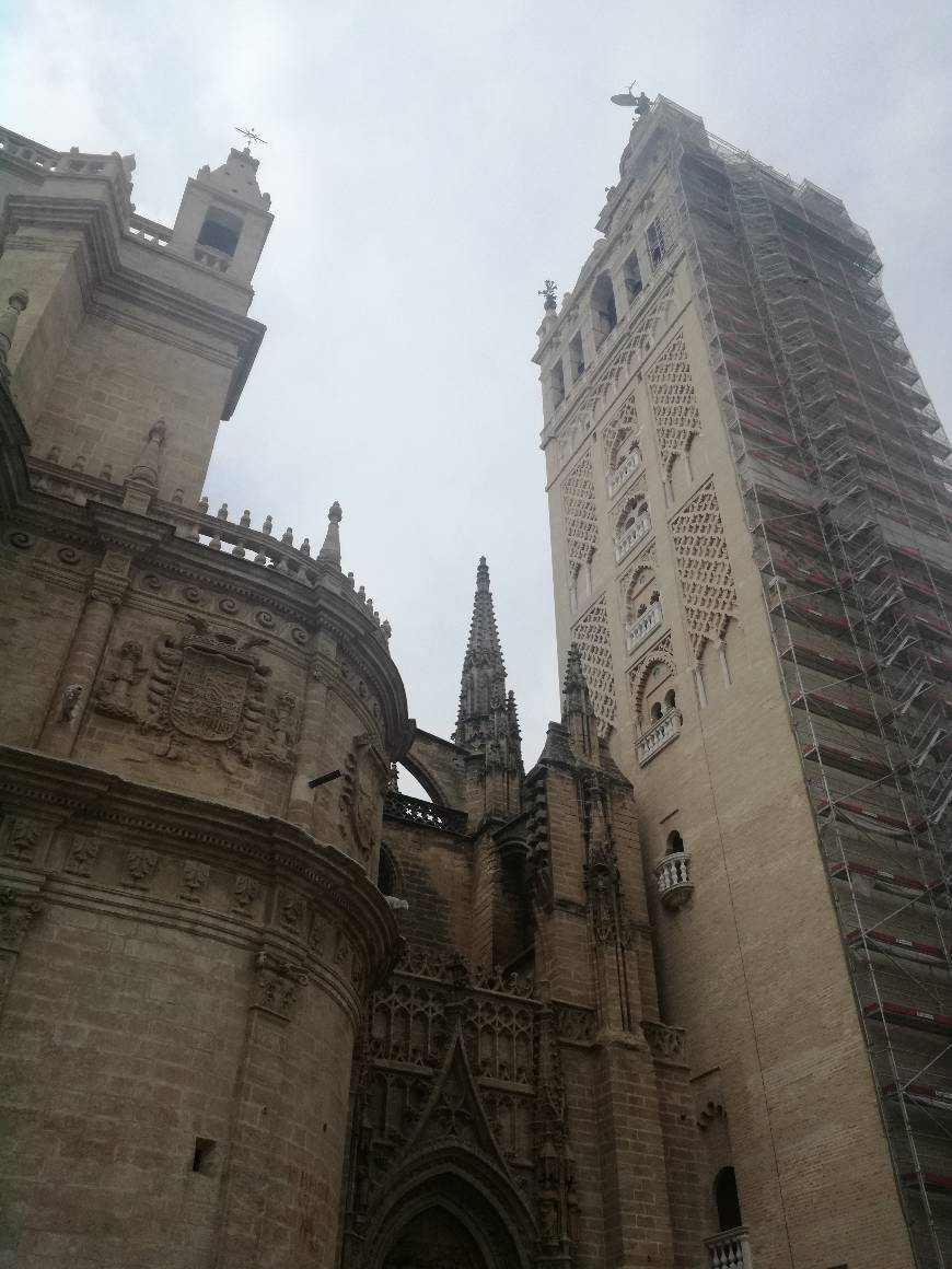 Place Catedral de Sevilla