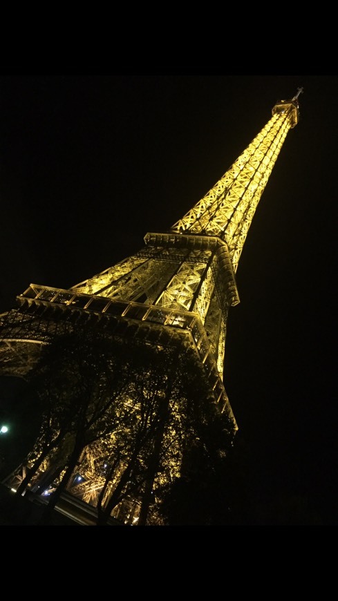 Place Tour Eiffel - Parc du Champ-de-Mars