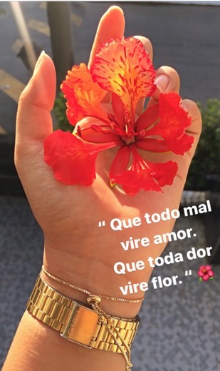 Dor da vida ...